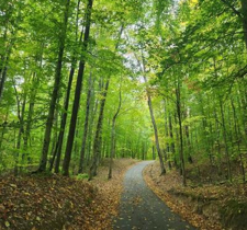 the road